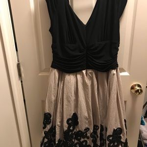 Dress Barn Collection
